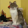 Отзыв от Аня Попова